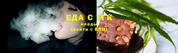 индика Кинешма