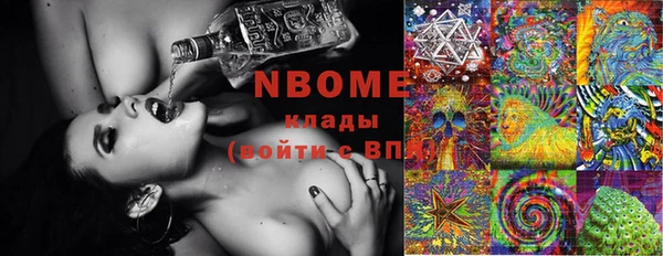 индика Кинешма
