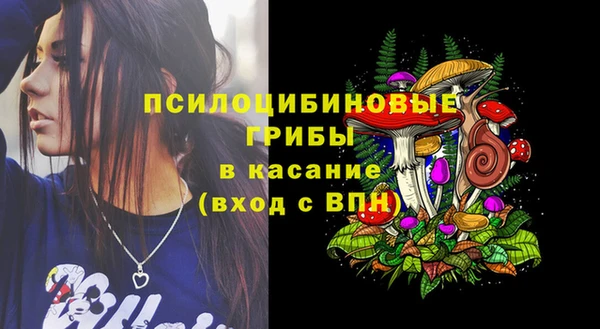 ПСИЛОЦИБИНОВЫЕ ГРИБЫ Козельск