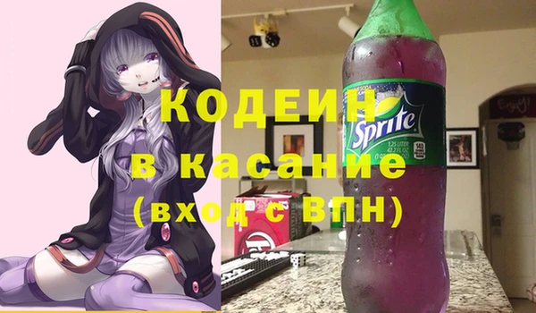 индика Кинешма