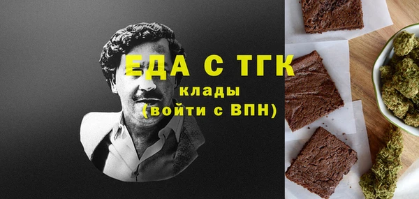 индика Кинешма