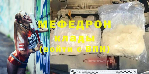 индика Кинешма