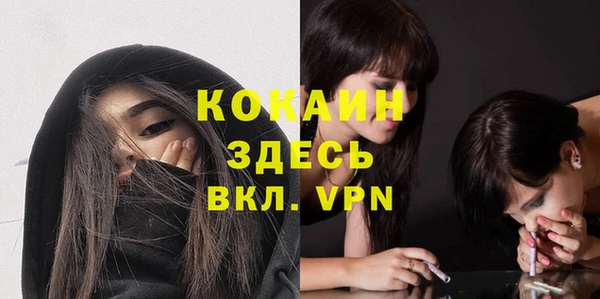 индика Кинешма