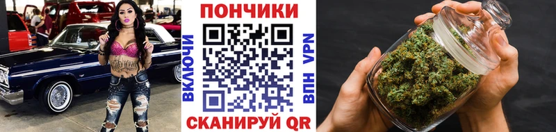 Купить где  Острогожск  Бошки Шишки планчик 